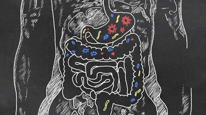 gut_microbiome_illustration_gut_health